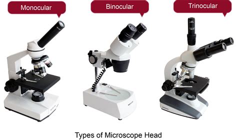 different types of microscopes.
